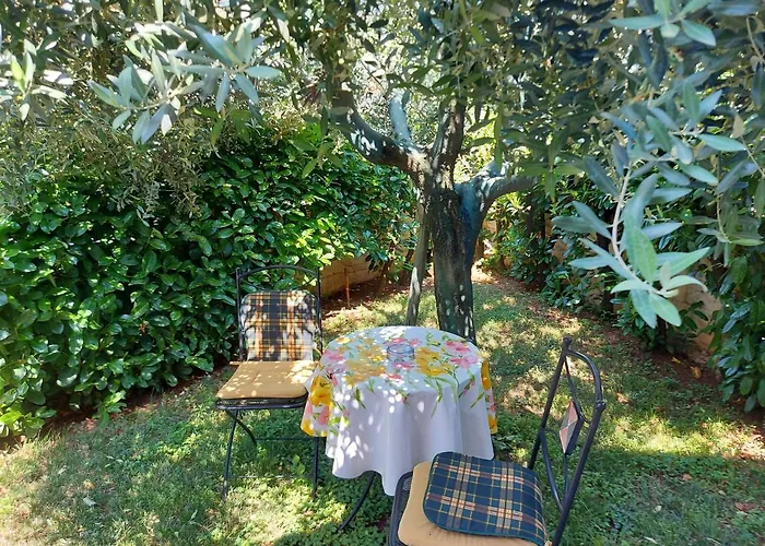 Apartamento Alida Umag