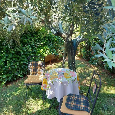 Apartment Alida Umag