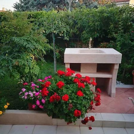 Alida Umag
